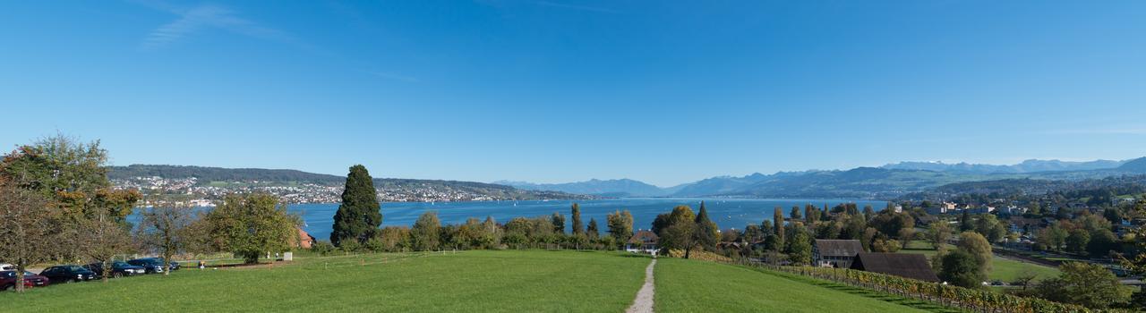 Wädenswil Landgasthof Halbinsel Au מראה חיצוני תמונה