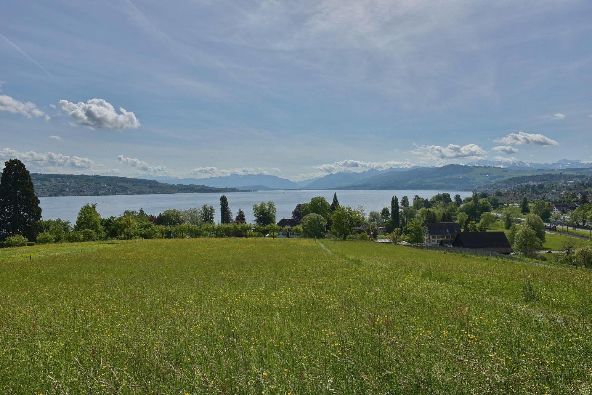 Wädenswil Landgasthof Halbinsel Au מראה חיצוני תמונה